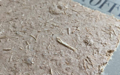 22mm Lehmbauplatte (schwer) Lagerware
